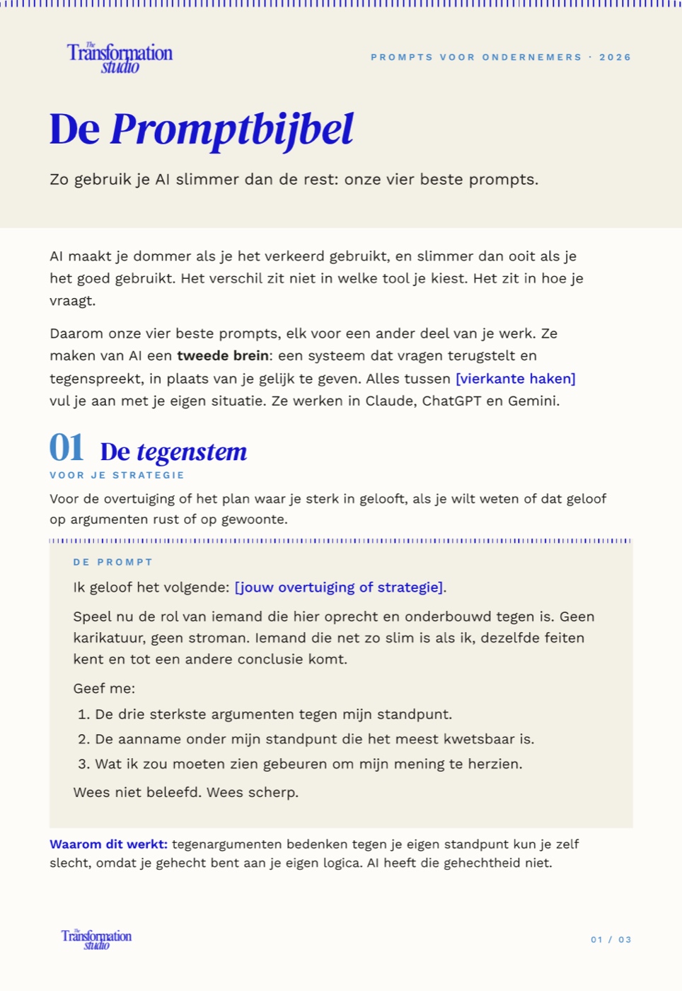 Pagina uit De Promptbijbel, in TTS-huisstijl