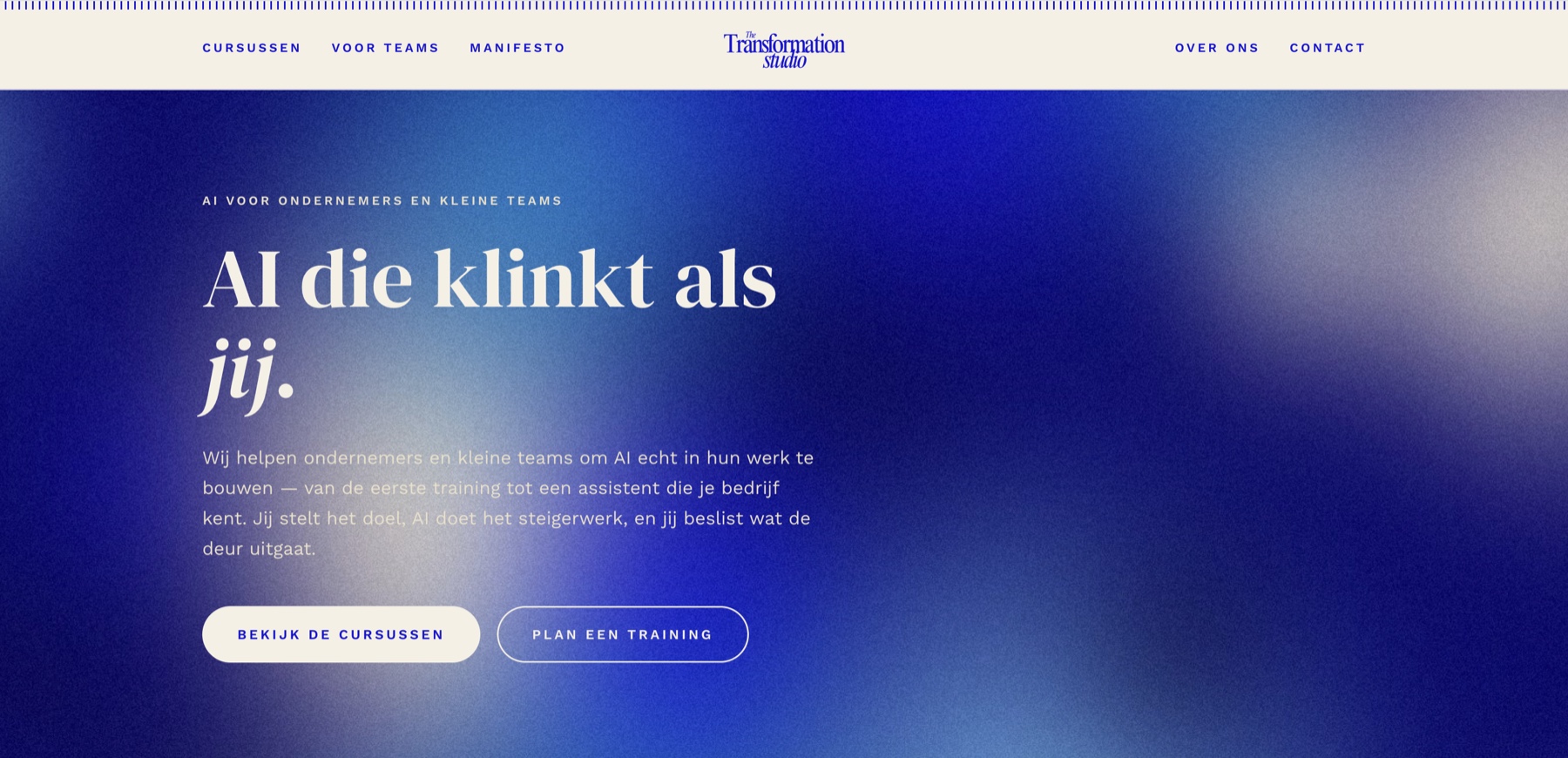 Huidige homepage van The Transformation Studio in TTS-huisstijl