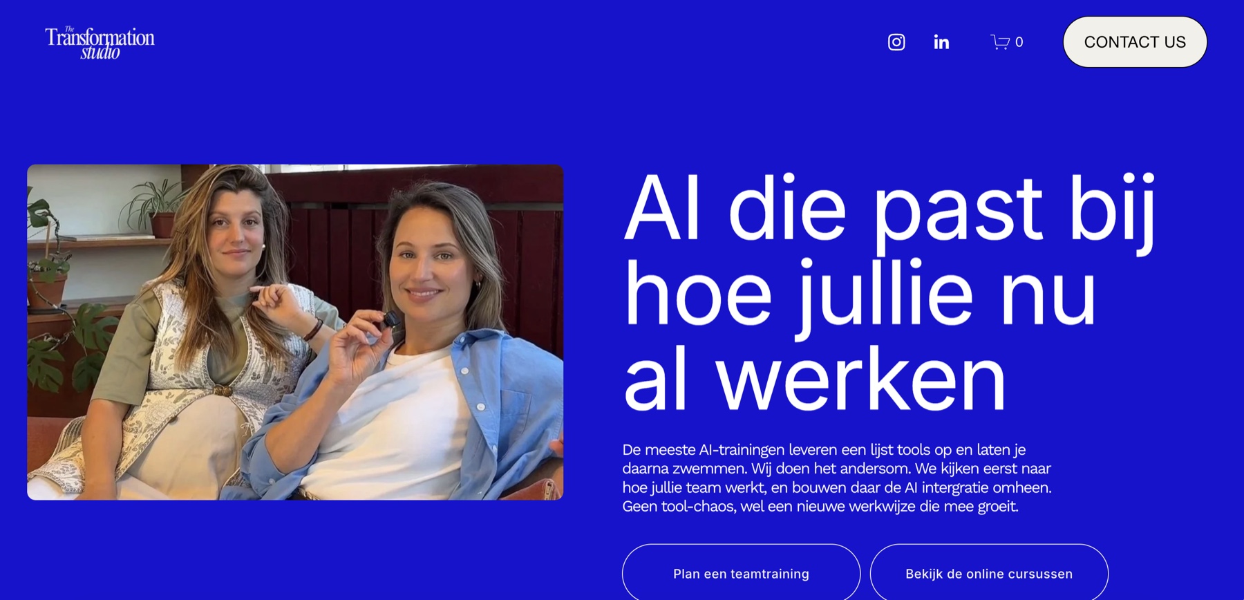 Oudere homepage van The Transformation Studio, andere stijl